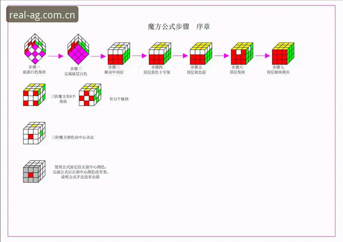 AG真人百家家乐新手入门全教程：从注册到畅玩的完整指南