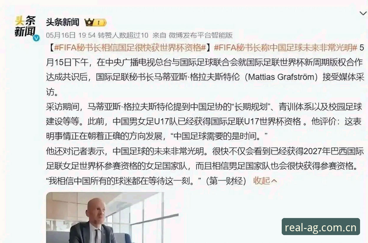 揭秘世界杯扩军66队背后的博弈：中国男足的终极机遇与挑战